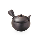 Hokuryu Black Clay Shallow Pine Bark Tanakiri Teapot