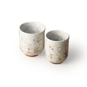 Shuhogama Shino Wild Flower Motif Tea Cup Pair Set
