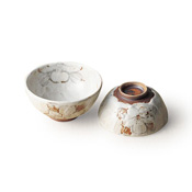 Shuhogama Shino Wild Flower Motif Rice Bowl Pair Set