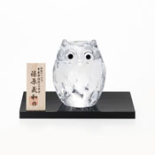 Child Owl (Clear) 