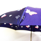 Ladies' Foldable Butterfly Umbrella 