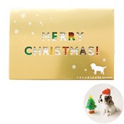 nanoblock® クリスマスカード キャバリア Gift