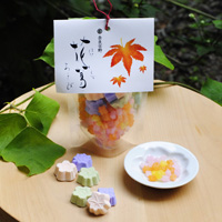 【Limited-time offer】Hanakazura Asobi (Maple Leaf)