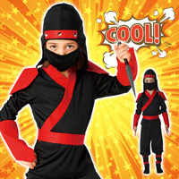 Ninja Fighter / Party Costume