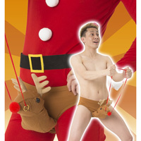 Reindeer Joke Pants / Party Costume