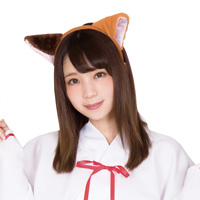 Cat Ear Head Band, Flat Ears  (Calico Cat) / Party Costume