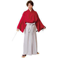 Nari-Ken, Samurai / Cosplay, Party Costume