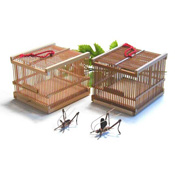 Shizuoka Prefecture, Sugura Bamboo Ware, Bamboo Craft, Mini Insect Basket