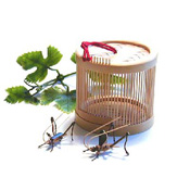 Mini Round Insect Cage