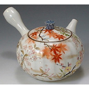 Colored Flower & Bird Teapot