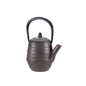 Nambu Ironware tecco Teapot Acorn
